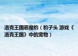 洛克王国恶魔豹（豹子头 游戏《洛克王国》中的宠物）
