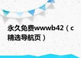永久免费wwwb42（c 精选导航页）