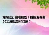 婚姻进行曲电视剧（婚姻变奏曲 2011年法制栏目剧）