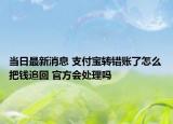 当日最新消息 支付宝转错账了怎么把钱追回 官方会处理吗