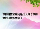 革的拼音和组词是什么呀（革和绷的拼音和组词）