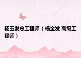 杨玉发总工程师（杨金发 高级工程师）