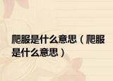 爬服是什么意思（爬服是什么意思）