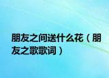 朋友之间送什么花（朋友之歌歌词）