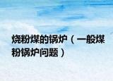 烧粉煤的锅炉（一般煤粉锅炉问题）
