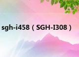 sgh-i458（SGH-I308）