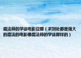 魔法师的学徒电影豆瓣（求到处都是强大的魔法的电影像魔法师的学徒那样的）