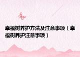 幸福树养护方法及注意事项（幸福树养护注意事项）