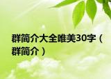 群简介大全唯美30字（群简介）