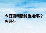 今日更新活鲍鱼如何冷冻保存