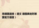 用德国语言（德文 德国奥地利等国官方语言）