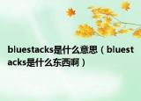 bluestacks是什么意思（bluestacks是什么东西啊）