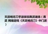 天涯明月刀手游家园真武道场（真武 网络游戏《天涯明月刀》中门派）