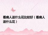 看病人送什么花比较好（看病人送什么花）