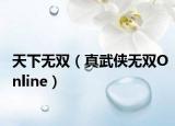 天下无双（真武侠无双Online）