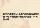 6月CPI涨幅创1年新高汽油涨33%详细内容 6月CPI涨幅创1年新高汽油涨33%具体介绍
