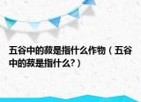五谷中的菽是指什么作物（五谷中的菽是指什么?）