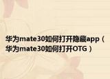 华为mate30如何打开隐藏app（华为mate30如何打开OTG）