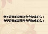 龟苓膏真的是用乌龟壳做成的么（龟苓膏真的是用乌龟壳做成的么）
