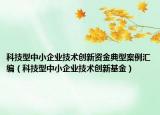 科技型中小企业技术创新资金典型案例汇编（科技型中小企业技术创新基金）