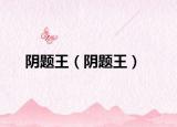 阴题王（阴题王）