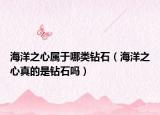海洋之心属于哪类钻石（海洋之心真的是钻石吗）