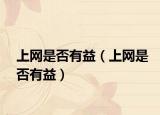 上网是否有益（上网是否有益）