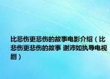 比悲伤更悲伤的故事电影介绍（比悲伤更悲伤的故事 谢沛如执导电视剧）