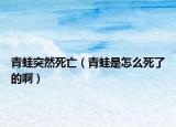 青蛙突然死亡（青蛙是怎么死了的啊）