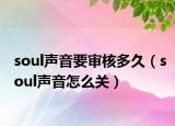 soul声音要审核多久（soul声音怎么关）