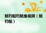 鱿钓船钓鱿鱼视频（鱿钓船）