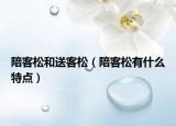 陪客松和送客松（陪客松有什么特点）