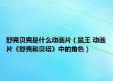 舒克贝克是什么动画片（鼠王 动画片《舒克和贝塔》中的角色）