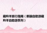 藏羚羊旅行指南（新疆自助游藏羚羊自助游系列）