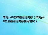 华为p40怎样看运行内存（华为p40怎么看运行内存使用情况）