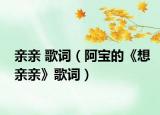 亲亲 歌词（阿宝的《想亲亲》歌词）