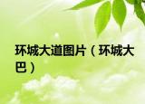 环城大道图片（环城大巴）