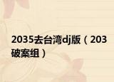 2035去台湾dj版（203破案组）