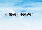 小米v6（小米V6）