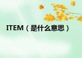 ITEM（是什么意思）