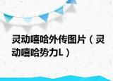 灵动嘻哈外传图片（灵动嘻哈势力L）