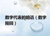 数字代表的暗语（数字陵园）