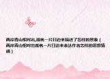 两岸青山相对出,孤帆一片日边来描述了怎样的景象（两岸青山相对出孤帆一片日边来表达作者怎样的思想情感）