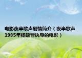 电影夜半歌声剧情简介（夜半歌声 1985年杨延晋执导的电影）