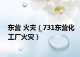 东营 火灾（731东营化工厂火灾）