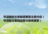毕淑敏的文章我很重要主要内容（毕淑敏文集精品散文我很重要）