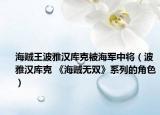 海贼王波雅汉库克被海军中将（波雅汉库克 《海贼无双》系列的角色）