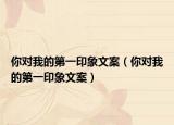 你对我的第一印象文案（你对我的第一印象文案）