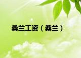 桑兰工资（桑兰）