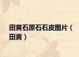 田黄石原石石皮图片（田黄）